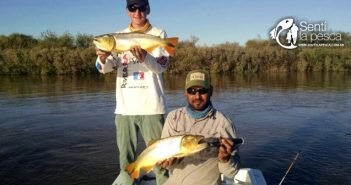 04/05/17 El Rio Dulce sigue pagando 150504 DORADOS EN RIO DULCE dest
