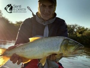 150504 DORADOS EN RIO DULCE10