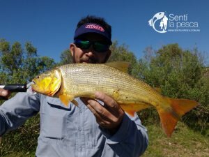 170205 EN BUSCA DEL ORO EN RAMALLO (10)