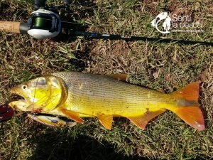 170205 EN BUSCA DEL ORO EN RAMALLO (11)