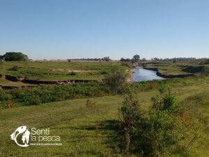 170205 EN BUSCA DEL ORO EN RAMALLO