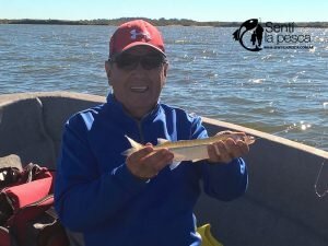 170502 EMBARCADOS EN GUAMINI2