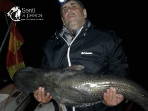170502 FINALIZO LA 42 FIESTA DEL SURUBI3
