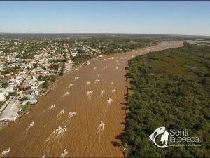 170502 FINALIZO LA 42 FIESTA DEL SURUBI4
