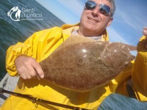 170502 GRANDES CORVINAS EN ALBUFERA DE MARCHI11