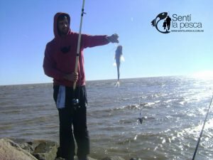170502 JORNADA EN ATALAYA3