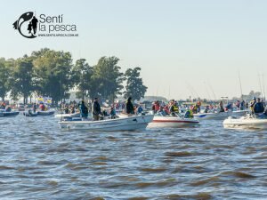 170502 PALABRAS GANADOR PEJERREY 20175