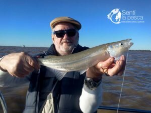 170502 PEJES EN RIOPLA QUILMES6