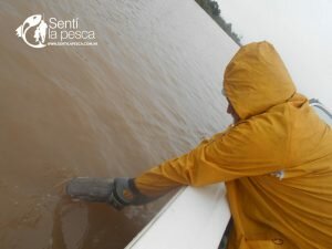 170502 PIQUE EN LA PAZ (3)