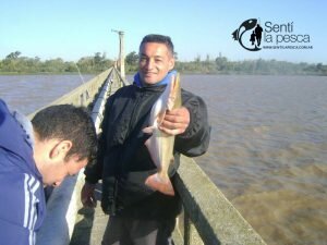 170502 PIQUE EN LA TOMA BASE NAVAL1