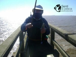 170502 PIQUE EN LA TOMA BASE NAVAL3