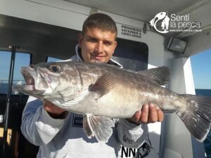170503 EMBARCADOS EN MDQ