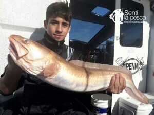 170503 EMBARCADOS EN MDQ1
