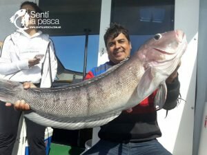 170503 EMBARCADOS EN MDQ2