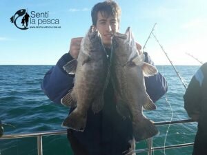 170503 EMBARCADOS EN MDQ3
