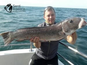 170503 EMBARCADOS EN MDQ6