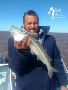 170503 PEJES Y DORADOS EN EL RIOPLA2