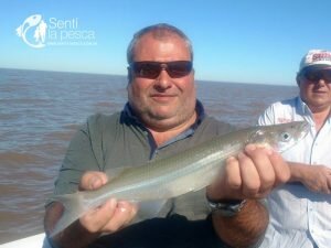 170503 PEJES Y DORADOS EN EL RIOPLA8
