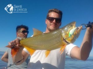 170503 PEJES Y DORADOS EN EL RIOPLA9