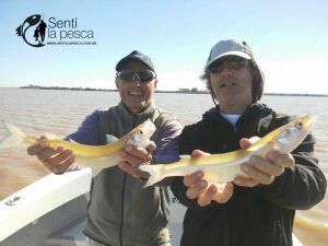 170504 PEJERREYES EN EL GUAZU (2)