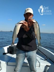 170504 PEJES EN MELINCUE (4)