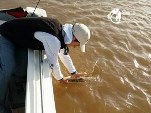 170508 CRESPO ENTRE RIOS (6)