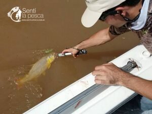 170508 CRESPO ENTRE RIOS (9)