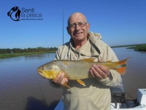 170508 DORADOS EN LA PAZ2