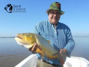 170508 DORADOS EN LA PAZ3