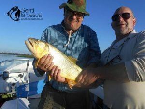 170508 DORADOS EN LA PAZ4