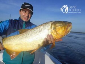 170508 DORADOS EN LA PAZ6