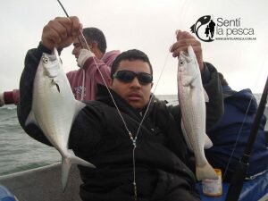 170508 EMBARCADOS ALBUFERA MARCHI9