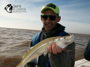 170508 PEJES EN BERISSO1