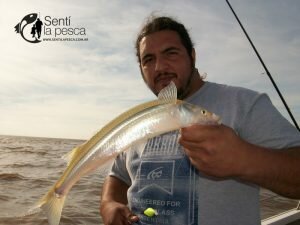 170508 PEJES EN BERISSO3