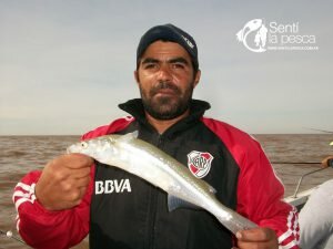 170508 PEJES EN BERISSO5
