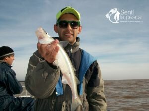 170508 PEJES EN BERISSO6