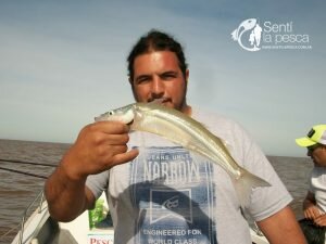170508 PEJES EN BERISSO8