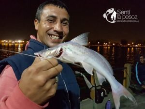 170508 SI PESCO MEJOR EN PEJERREY CLUB6