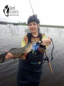 170508 TARARIRAS EN VENADO TUERTO32