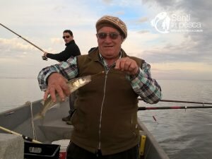 170509 EL PRIMER GRANDE EN GUAMINI