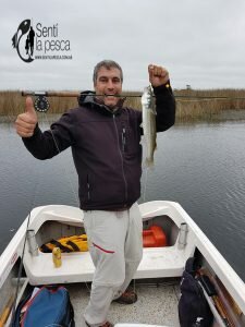 170509 LOMOS NEGROS EN MADARIAGA4