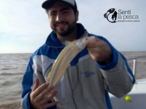 170509 PEJES ZONA QUILMES5