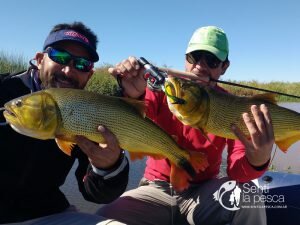 170511 EN BUSCA DEL ORO EN RAMALLO II (4)