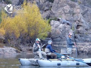 170511 JORNADAS EN ALUMINE PATAGONIA17