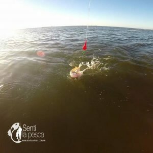 170512 MERMO EL PIQUE EN LA SALADA GRANDE6