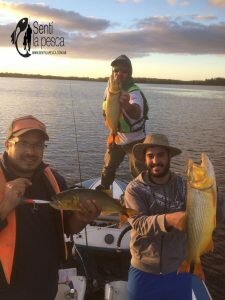 170515 DORADOS CERCA DE MONTEVIDEO
