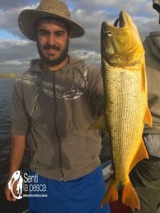 170515 DORADOS CERCA DE MONTEVIDEO (3)