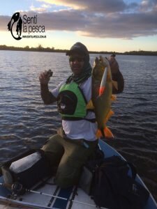 170515 DORADOS CERCA DE MONTEVIDEO (5)