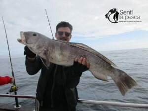 170515 EMBARCADOS EN MDQ