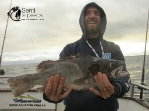 170515 EMBARCADOS EN MDQ3